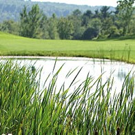 Golf Course, Country Club in Williston, VT